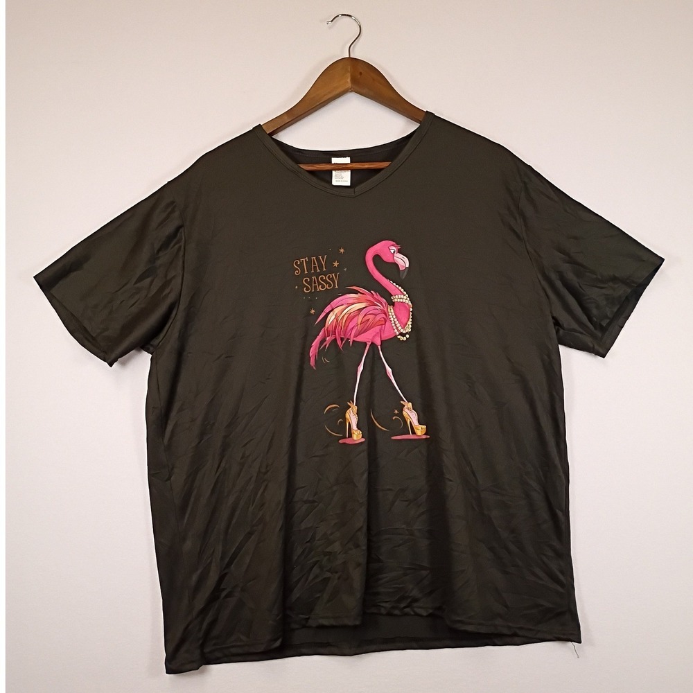 Sassy Flamingo Unbranded Womens 2XL Dark Gray V-Neck Graphic Short Sleeve Tee